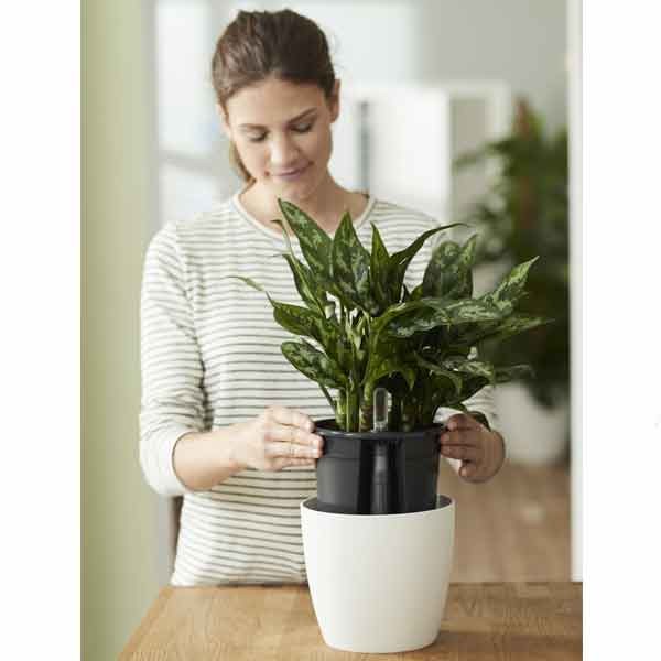 Elho Self-Watering Insert Living Black 17cm 5 Elho Self-Watering Insert Living Black 17cm - Image 5