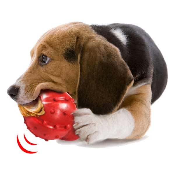 Nylabone Strong Cone Chew Bacon Small 2 Nylabone Strong Cone Chew Bacon Small - Image 2