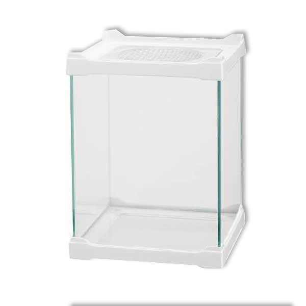 Betta Terra White Mini Terrarium 16x16x21cm Pet Tank 1 Betta Terra White Mini Terrarium 16x16x21cm Pet Tank