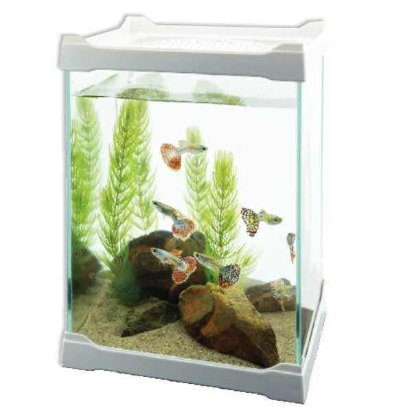 Betta Terra White Mini Terrarium 16x16x21cm Pet Tank 2 Betta Terra White Mini Terrarium 16x16x21cm Pet Tank - Image 2