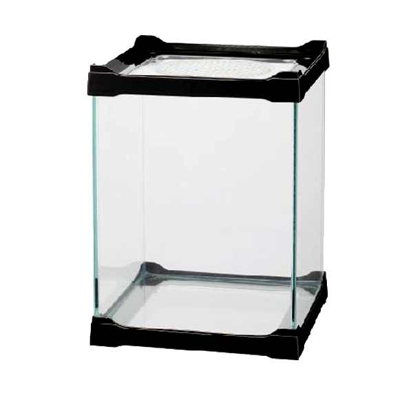Betta Terra Black Mini Terrarium 16 x 16 x 21cm 1 Betta Terra Black Mini Terrarium 16 x 16 x 21cm