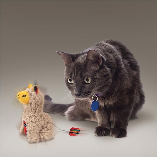 KONG Softies Buzzy Llama Cat Toy 3 KONG Softies Buzzy Llama Cat Toy - Image 3