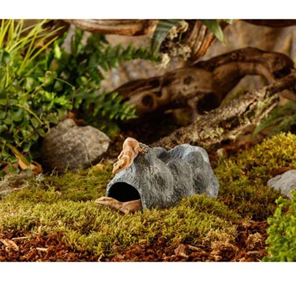 Exo Terra Wet Rock Cave Medium 3 Exo Terra Wet Rock Cave Medium - Image 3