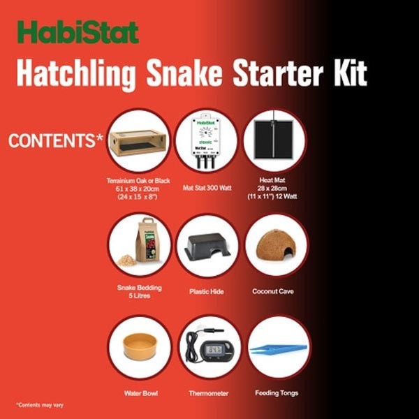 HabiStat Hatchling Snake Black Starter Kit 5 HabiStat Hatchling Snake Black Starter Kit - Image 5