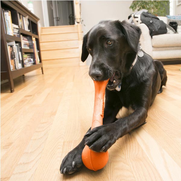 KONG SqueakStix Large Dog Toy 2 KONG SqueakStix Large Dog Toy - Image 2