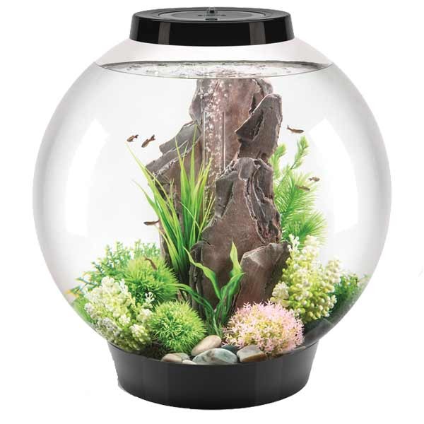 biOrb Classic 60 Litre LED Black Aquarium 1 biOrb Classic 60 Litre LED Black Aquarium