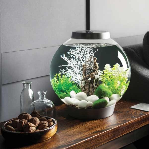 biOrb Classic 60 Litre LED Black Aquarium 2 biOrb Classic 60 Litre LED Black Aquarium - Image 2