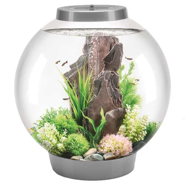 biOrb Classic 60 Litre LED Silver Aquarium 1 biOrb Classic 60 Litre LED Silver Aquarium