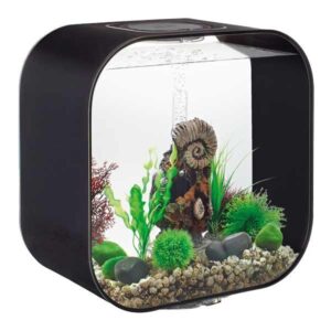 biOrb Life 30 Litre LED Black Aquarium