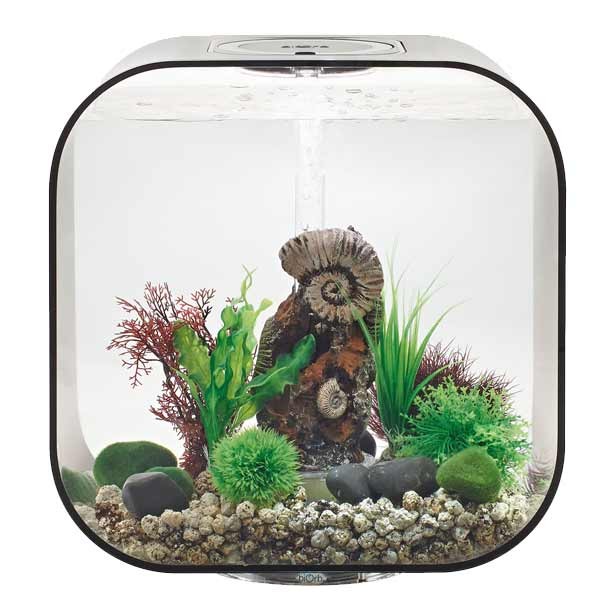 biOrb Life 30 Litre LED Black Aquarium 2 biOrb Life 30 Litre LED Black Aquarium - Image 2