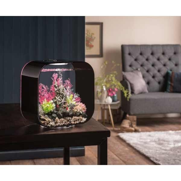biOrb Life 30 Litre LED Black Aquarium 4 biOrb Life 30 Litre LED Black Aquarium - Image 4