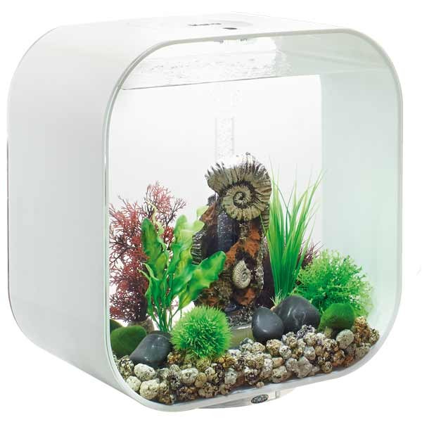 biOrb Life 30 Litre LED White Aquarium 1 biOrb Life 30 Litre LED White Aquarium