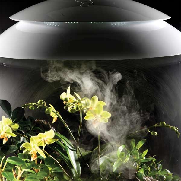 biOrb AIR HumidiMist cap 4 pack 2 biOrb AIR HumidiMist cap 4 pack - Image 2