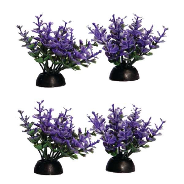Aqua One Ecoscape Foreground Catspaw 4pk Purple 1 Aqua One Ecoscape Foreground Catspaw 4pk Purple