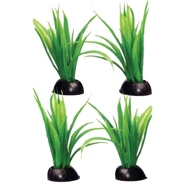 Aqua One Ecoscape Foreground Lilaeopsis 4pk Green 1 Aqua One Ecoscape Foreground Lilaeopsis 4pk Green