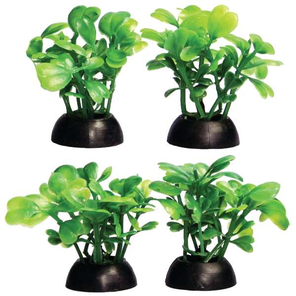 Aqua One Ecoscape Foreground Lobelia 4pk Green 1 Aqua One Ecoscape Foreground Lobelia 4pk Green