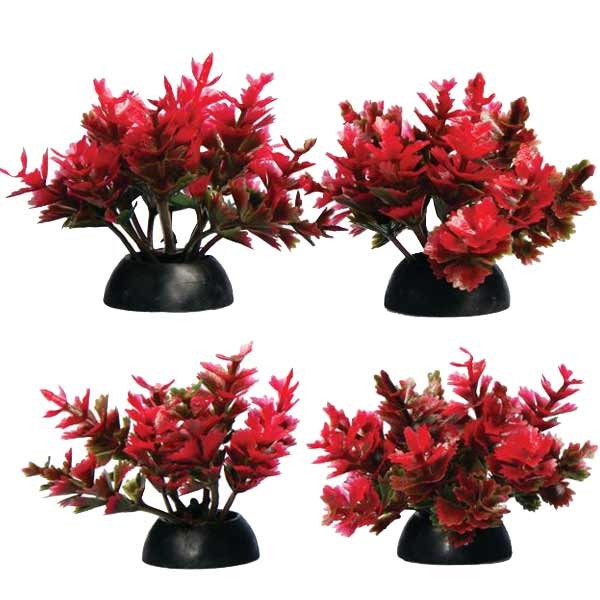 Aqua One Ecoscape Foreground Catspaw 4pk Red 1 Aqua One Ecoscape Foreground Catspaw 4pk Red