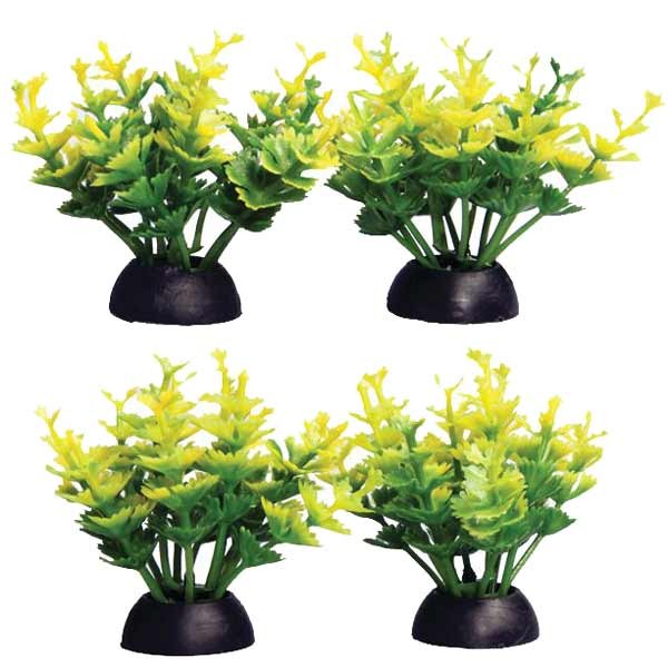 Aqua One Ecoscape Foreground Catspaw 4pk Yellow 1 Aqua One Ecoscape Foreground Catspaw 4pk Yellow