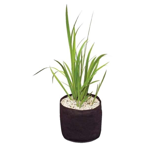 Velda Plant Basket 30x30x25 Cm 3 Velda Plant Basket 30x30x25 Cm - Image 3