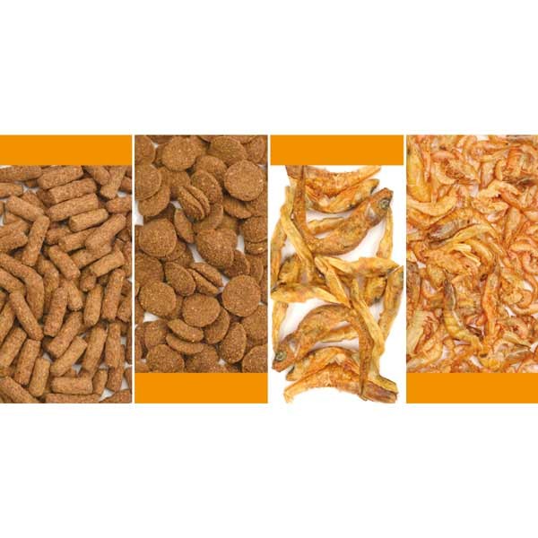 Reptile Systems Turtle Mix 125g 2 Reptile Systems Turtle Mix 125g - Image 2