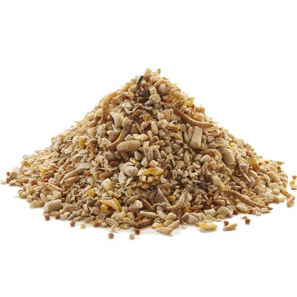 Peckish Robin Seed & Insect Mix 1Kg 2 Peckish Robin Seed & Insect Mix 1Kg - Image 2