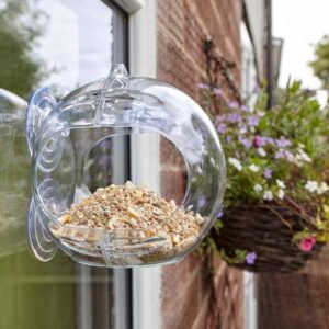 Peckish Globe Window Feeder