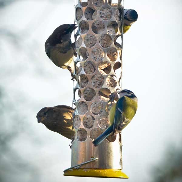 Peckish Extra Goodness Nugget Feeder 2 Peckish Extra Goodness Nugget Feeder - Image 2