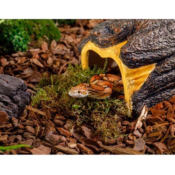 Exo Terra Wet Log Large 3 Exo Terra Wet Log Large - Image 3