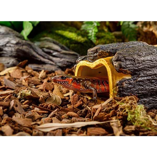 Exo Terra Wet Log Large 4 Exo Terra Wet Log Large - Image 4