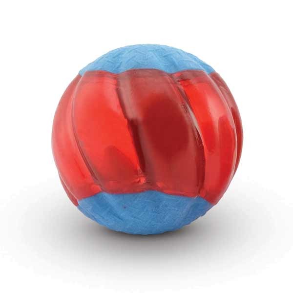 Zeus Duo Ball 5cm with Squeaker 2Pk 3 Zeus Duo Ball 5cm with Squeaker 2Pk - Image 3