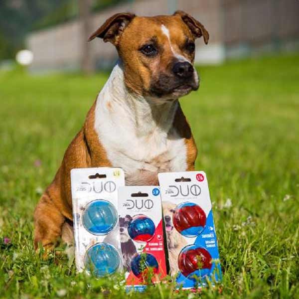 Zeus Duo Ball 5cm with Squeaker 2Pk 2 Zeus Duo Ball 5cm with Squeaker 2Pk - Image 2
