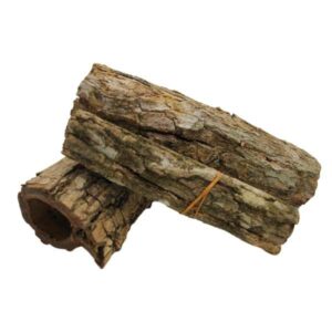 Betta Catappa Bark Tubes Single