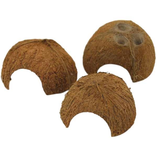 Betta Half Coconut Shelter Cocosnoot Schuilplaats 1 Betta Half Coconut Shelter Cocosnoot Schuilplaats