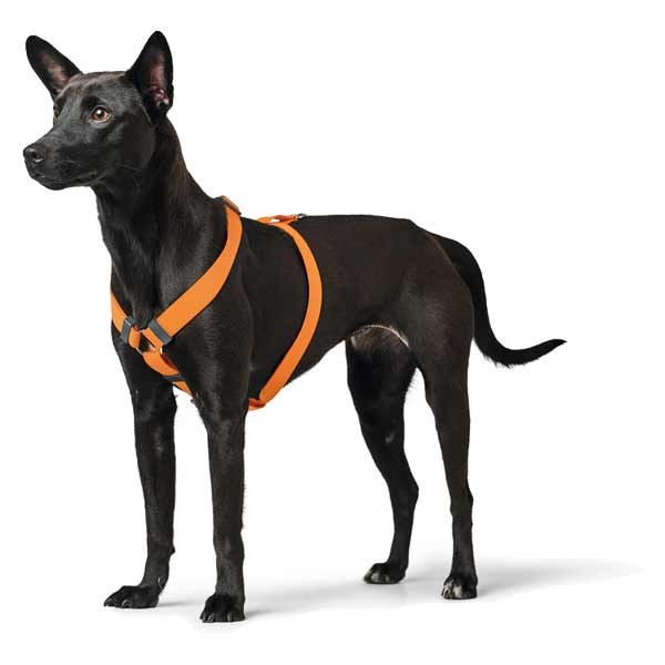 Hunter London Vario Rapid Harness 32 - 52 Orange 4 Hunter London Vario Rapid Harness 32 - 52 Orange - Image 4