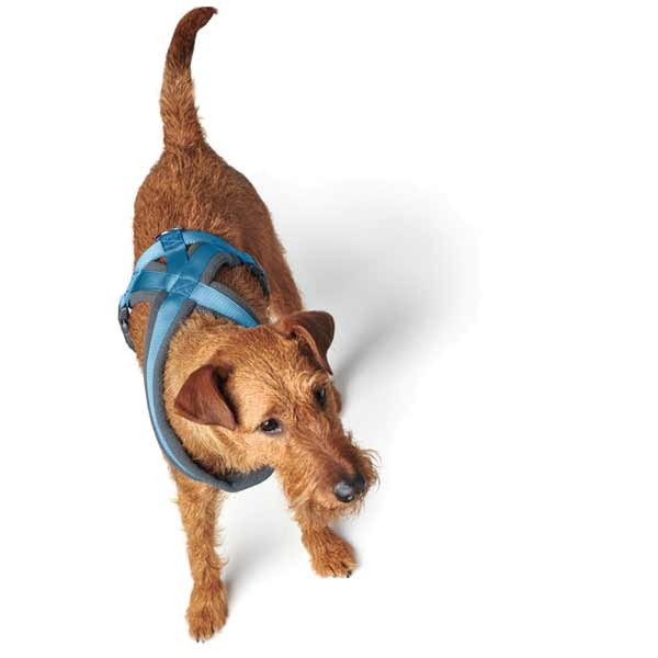 Hunter London Comfort Harness 73 - 100cm (XL) Light Blue 6 Hunter London Comfort Harness 73 - 100cm (XL) Light Blue - Image 6