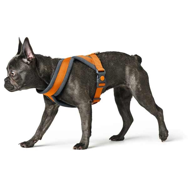Hunter London Comfort Harness 68 - 91cm (L) Orange 7 Hunter London Comfort Harness 68 - 91cm (L) Orange - Image 7