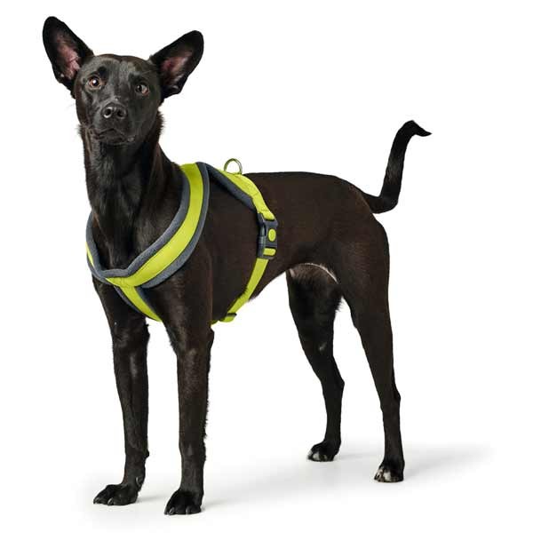 Hunter London Comfort Harness 52 - 62cm (S-M) Lime 6 Hunter London Comfort Harness 52 - 62cm (S-M) Lime - Image 6