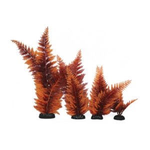 Hugo Kamishi Broad Leaf Fern Red Aquascaping Aquarium Plant Single 40cm