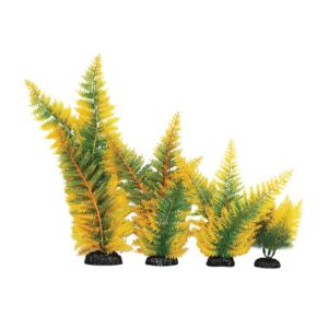 Hugo Kamishi Broad Leaf Fern Yellow Aquascaping Aquarium Plant Single 40cm