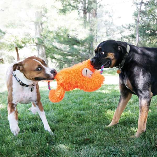 KONG Tuggz Monkey Extra Large Dog Toy 2 KONG Tuggz Monkey Extra Large Dog Toy - Image 2