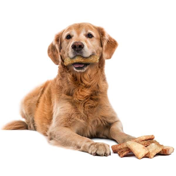 Yakers Crunchy Bites Yak Milk Dog Treat 70g Dog Treat 2 Yakers Crunchy Bites Yak Milk Dog Treat 70g Dog Treat - Image 2