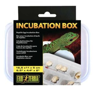 Exo Terra Reptile Egg Incubation Box