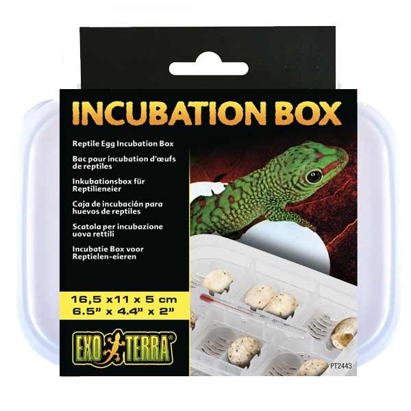 Exo Terra Reptile Egg Incubation Box 1 Exo Terra Reptile Egg Incubation Box