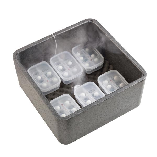 Exo Terra Reptile Egg Incubation Box 2 Exo Terra Reptile Egg Incubation Box - Image 2