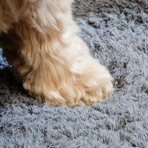 Pet Rebellion Comfy Cover Grey 8 Pet Rebellion Comfy Cover Grey - Image 8