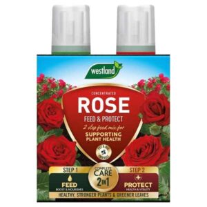 Westland Rose Feed & Protect 2x500ml