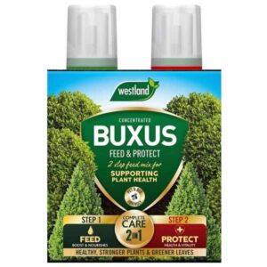 Westland Buxus Feed & Protect 2x500ml