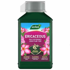 Westland Ericaceous High Performance Liquid Plant Food 1 Litre