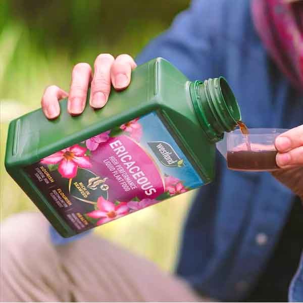Westland Ericaceous High Performance Liquid Plant Food 1 Litre 4 Westland Ericaceous High Performance Liquid Plant Food 1 Litre - Image 4