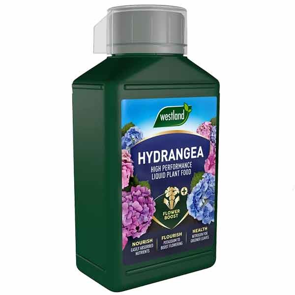 Westland Hydrangea High Performance Liquid Plant Food 1 Litre 2 Westland Hydrangea High Performance Liquid Plant Food 1 Litre - Image 2